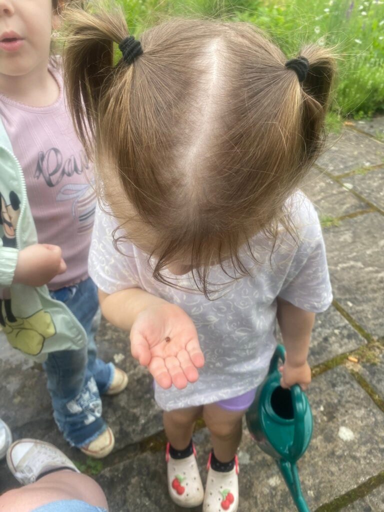 Child looking at a ladybird on her hand